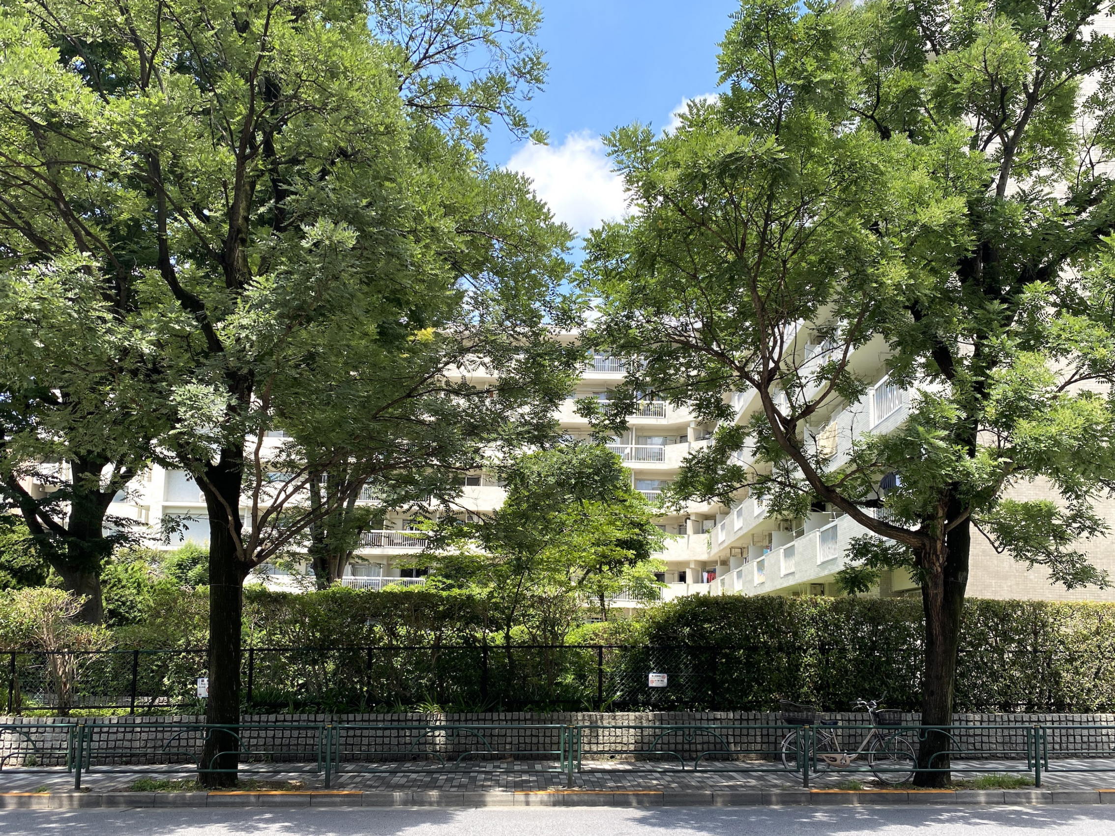 港区立青南小学校 青南小学校区域の物件 | TOKYO VINTAGE MANSION