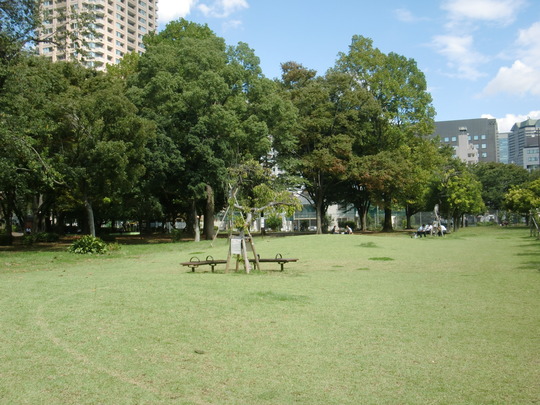 青山公園.jpg