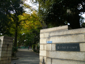 P1110965.jpg