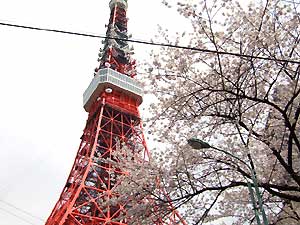 狸穴公園　東京タワー.jpgのサムネイル画像
