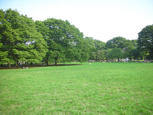 代々木公園 (12).jpg