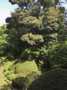 ニュー赤坂コーポラス | 東京ヴィンテージマンション
