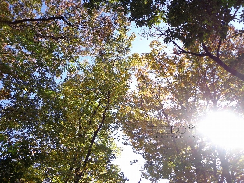 松濤公園