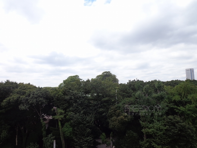秀和第二神宮レジデンス-屋上からの眺望写真