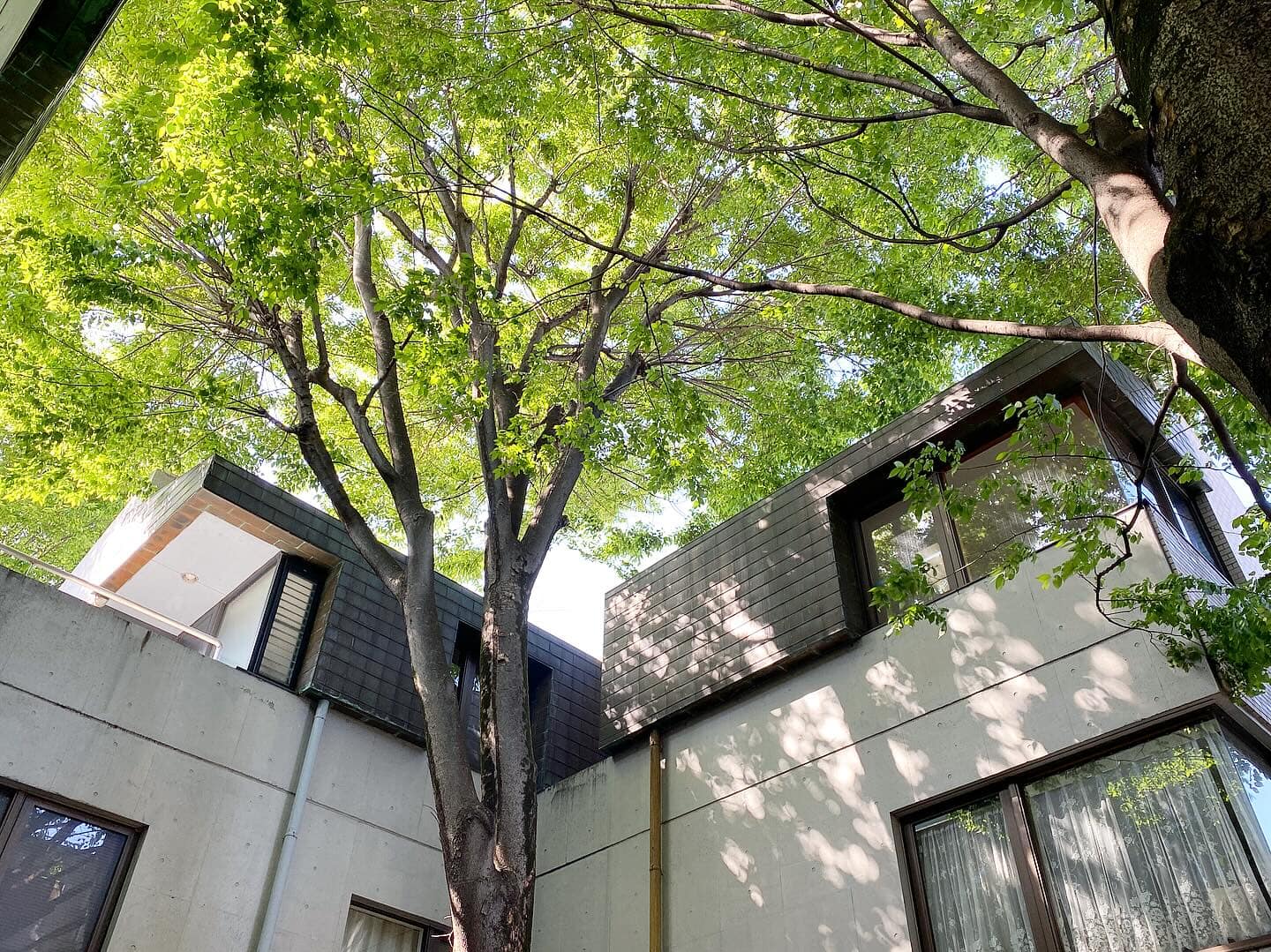 ビラ・サピエンザ