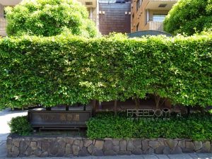 ベルテ表参道_外観写真
