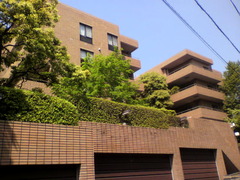 ベルテ表参道