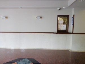 秀和赤坂檜町レジデンス外観共用部 (10)