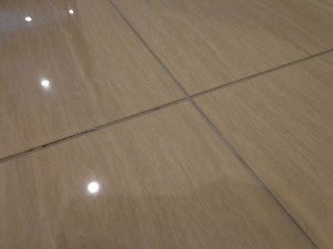 秀和赤坂檜町レジデンス2F (90)