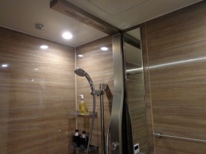 秀和赤坂檜町レジデンス2F (67)
