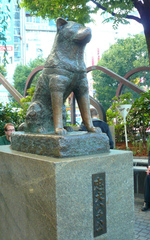 藤和エクシール道玄坂