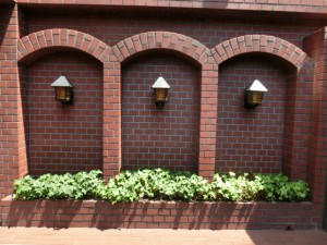 CIMG0209