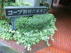 コープ野村六本木Ⅱ