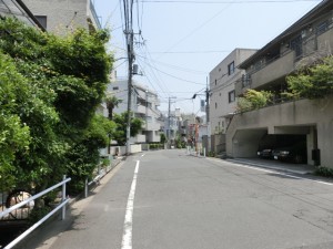 sCIMG5894