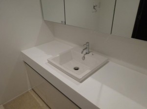 グラントレゾール広尾103号室 (11)