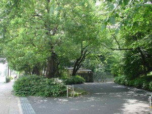 domsTokiwamatsu５