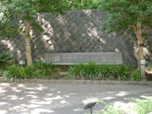 sCIMG3159