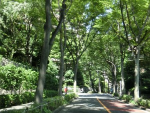 sCIMG3161