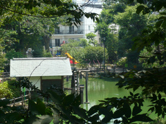 陽輪台松濤