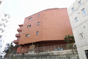 IMG_0532