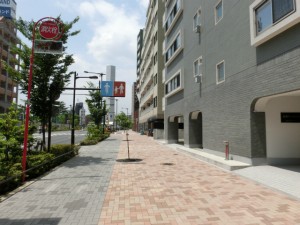 松涛パークハウス (3)