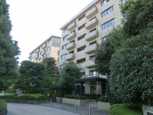 CIMG8202