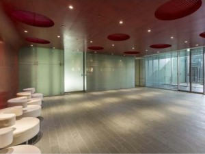 ブリリア代官山プレステージ外観共用部 (20)