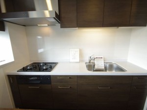 シティタワー麻布十番1009号室 (11)