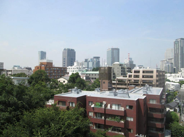六本木ハイツ801 (7).jpg