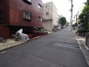 日興パレス南麻布203号室 (3).jpg