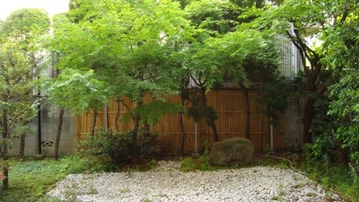 1320A046_7_l.jpg