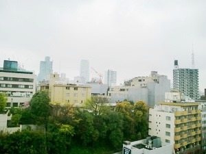 麻布永谷マンション1002号室 (3).jpg