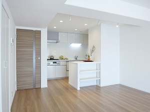 麻布永谷マンション1002号室 (10).jpg