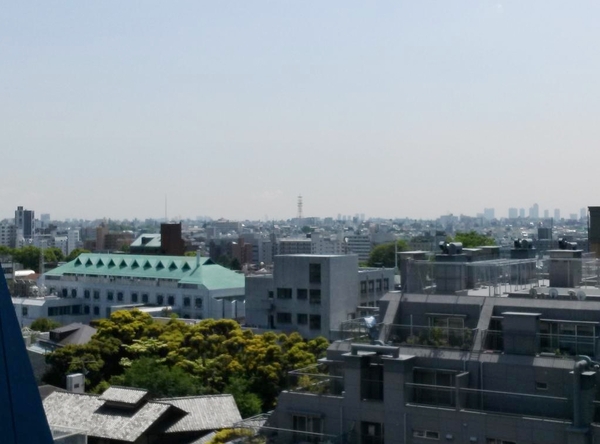 秀和第2南平台レジデンス1005号室 (9).jpg