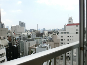 ライオンズマンション南平台１１０５号室 (72).jpg