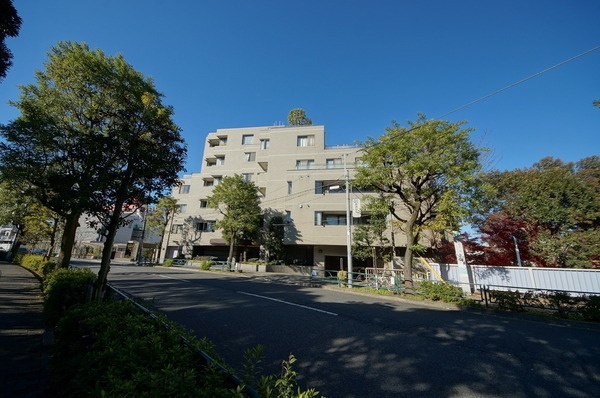 南青山豊田パークマンション (1) - コピー.jpg