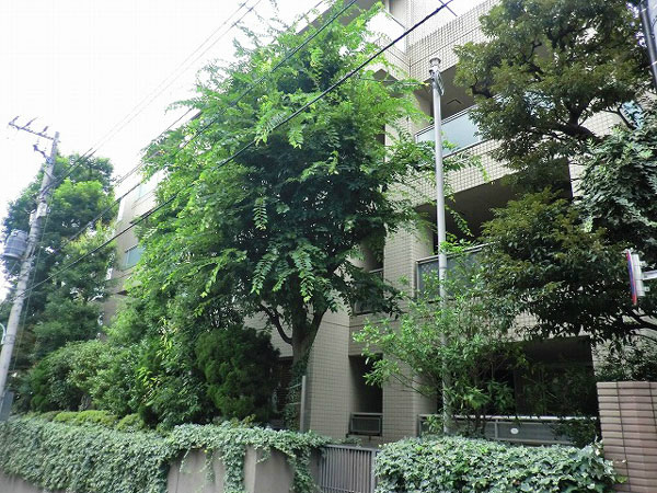 パークハウス神宮外苑 (2).jpg