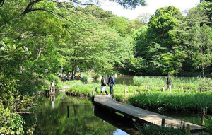 自然公園.jpg