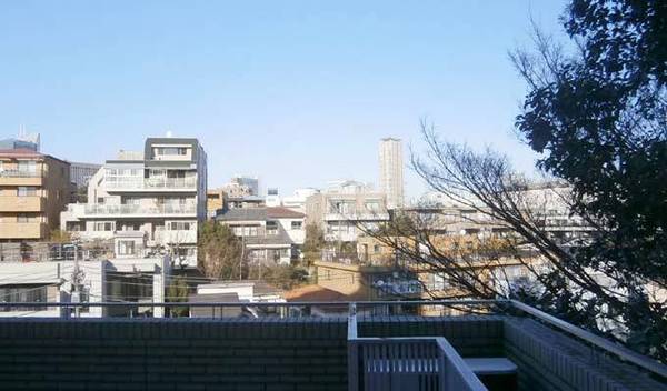 南青山豊田パークマンション (4).jpg