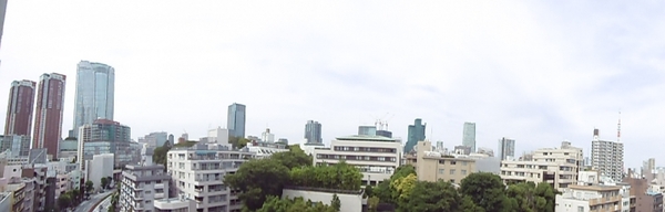 麻布永谷マンション1002号室 (11).JPG