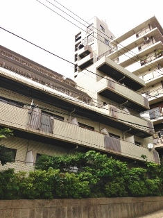 麻布台ロイヤルプラザ６０３号室 (9).jpg