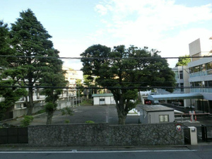 南平台セントラルハイツ (3).jpg