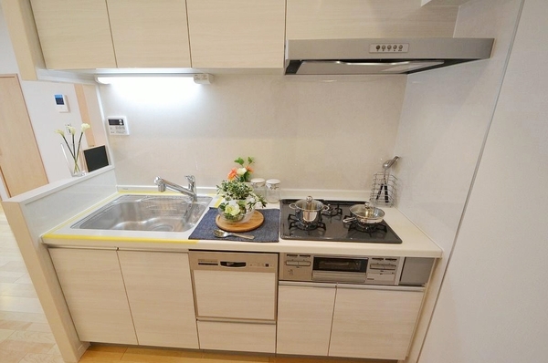 日興パレス南麻布203号室 (8).jpg