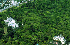 自然公園2
