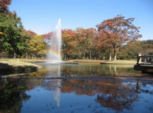 代々木公園.jpg