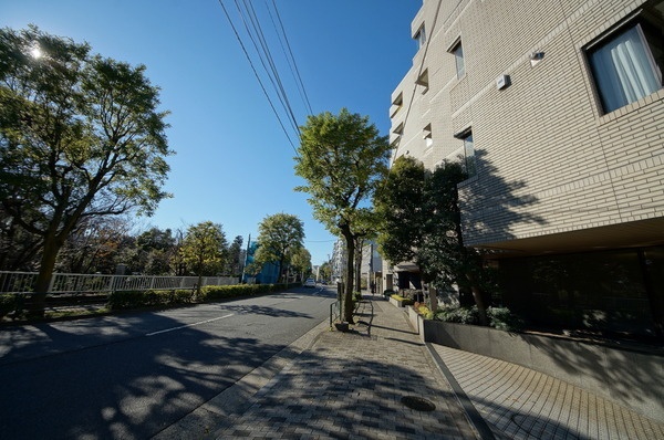 南青山豊田パークマンション (10).jpg
