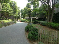 nishiazabupa-ku-E (3).jpg