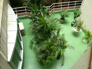 722 020.jpg
