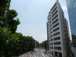 ラ・セーナ南青山 (2).jpg