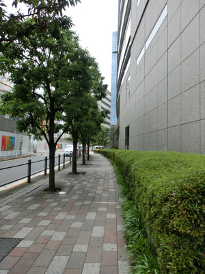 ストーク代官山401 (1).jpg
